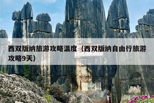 西双版纳旅游攻略温度（西双版纳自由行旅游攻略9天）