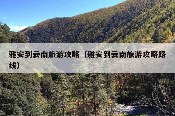 雅安到云南旅游攻略（雅安到云南旅游攻略路线）