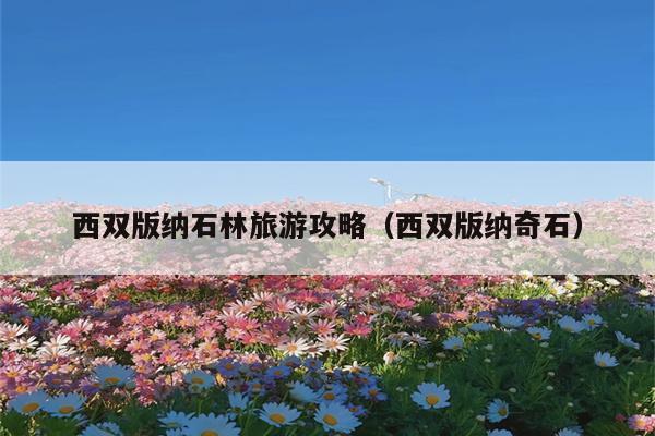 西双版纳石林旅游攻略（西双版纳奇石）