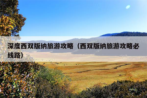 深度西双版纳旅游攻略（西双版纳旅游攻略必线路）