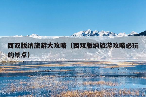 西双版纳旅游大攻略（西双版纳旅游攻略必玩的景点）