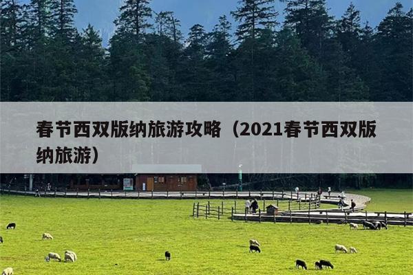 春节西双版纳旅游攻略（2021春节西双版纳旅游）