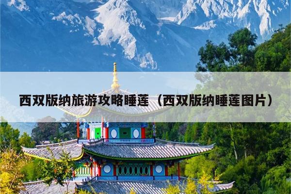 西双版纳旅游攻略睡莲（西双版纳睡莲图片）