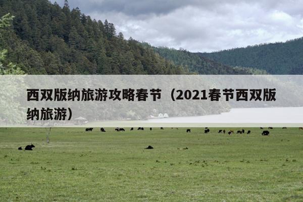 西双版纳旅游攻略春节（2021春节西双版纳旅游）