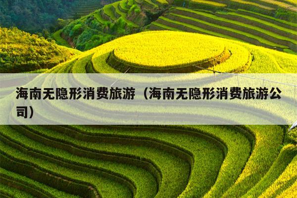 海南无隐形消费旅游（海南无隐形消费旅游公司）