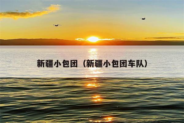 新疆小包团（新疆小包团车队）
