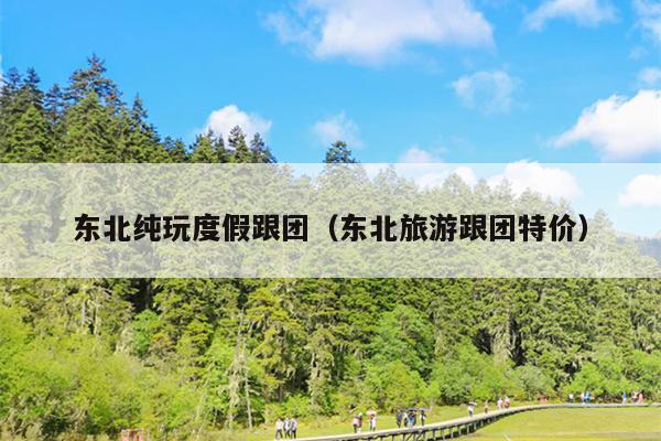 东北纯玩度假跟团（东北旅游跟团特价）