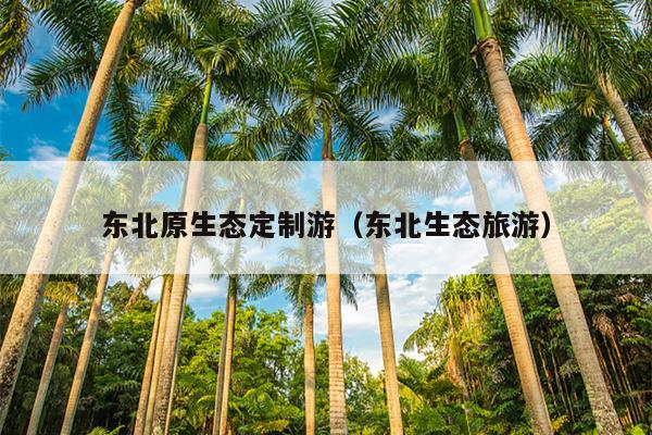 东北原生态定制游（东北生态旅游）