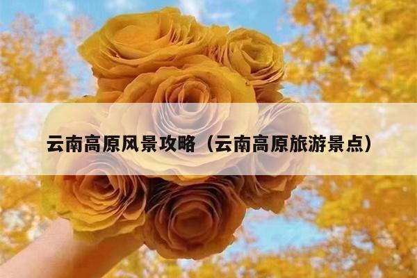 云南高原风景攻略（云南高原旅游景点）