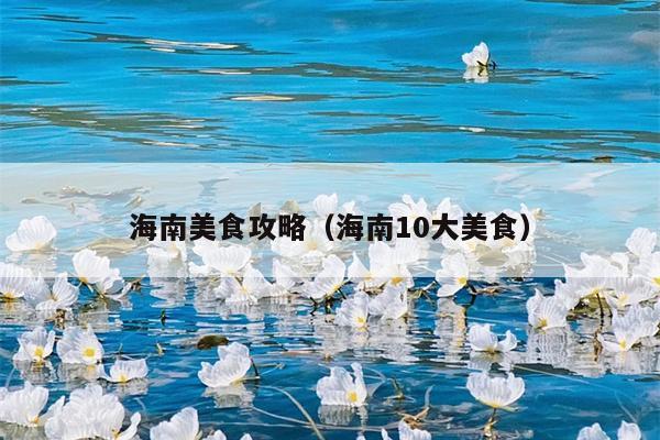 海南美食攻略（海南10大美食）