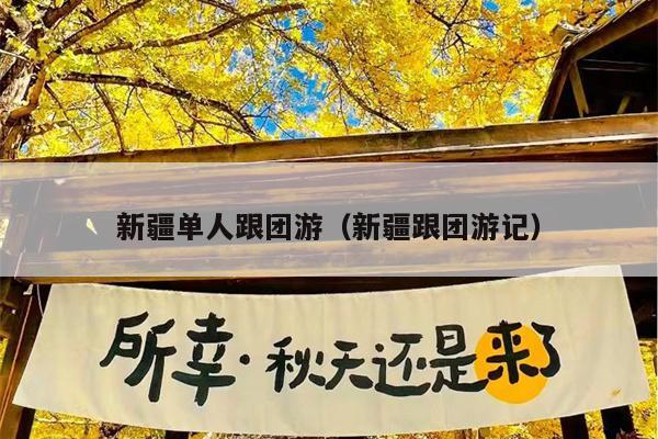 新疆单人跟团游(新疆跟团游记)