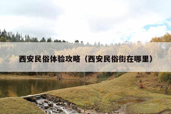西安民俗体验攻略（西安民俗街在哪里）
