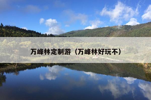 万峰林定制游（万峰林好玩不）