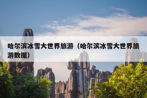 哈尔滨冰雪大世界旅游（哈尔滨冰雪大世界旅游数据）