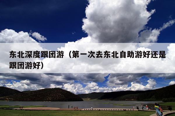 东北深度跟团游（第一次去东北自助游好还是跟团游好）
