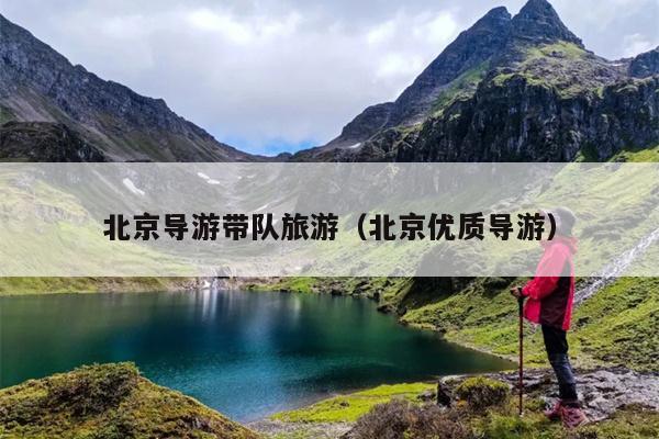 北京导游带队旅游（北京优质导游）