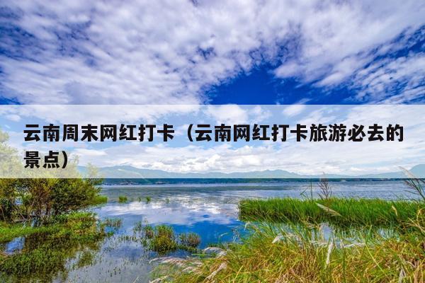云南周末网红打卡（云南网红打卡旅游必去的景点）