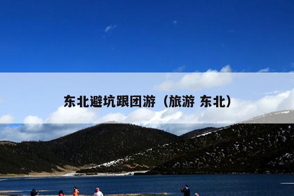 东北避坑跟团游（旅游 东北）