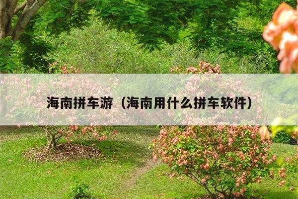 海南拼车游（海南用什么拼车软件）