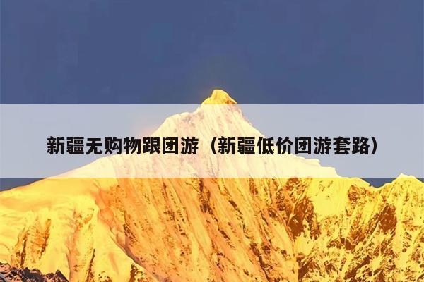 新疆无购物跟团游（新疆低价团游套路）