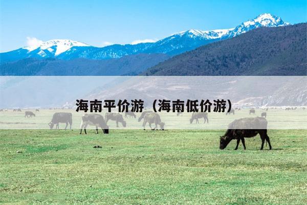 海南平价游（海南低价游）
