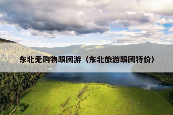 东北无购物跟团游（东北旅游跟团特价）