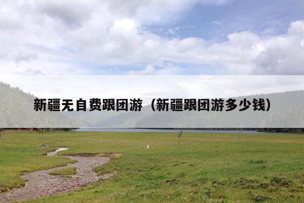 新疆无自费跟团游（新疆跟团游多少钱）