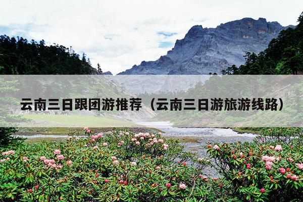 云南三日跟团游推荐（云南三日游旅游线路）