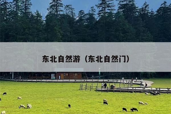 东北自然游（东北自然门）