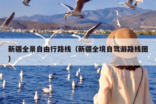 新疆全景自由行路线（新疆全境自驾游路线图）