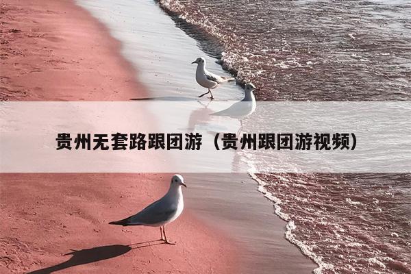 贵州无套路跟团游（贵州跟团游视频）
