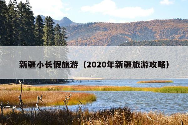 新疆小长假旅游（2020年新疆旅游攻略）