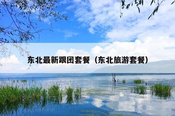 东北最新跟团套餐（东北旅游套餐）