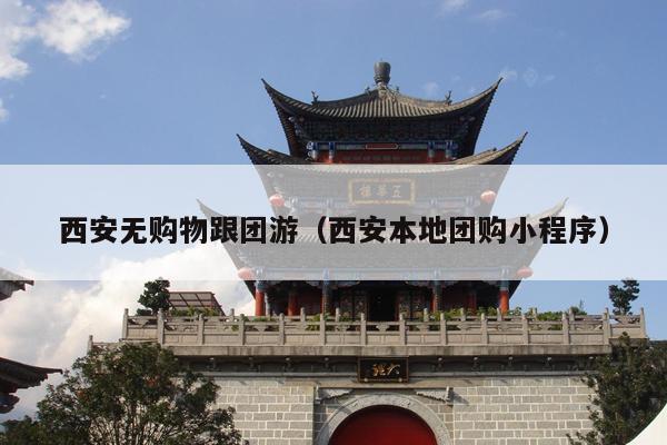 西安无购物跟团游（西安本地团购小程序）