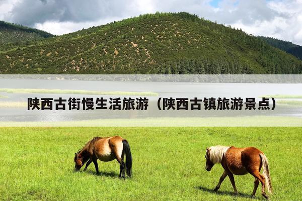 陕西古街慢生活旅游（陕西古镇旅游景点）