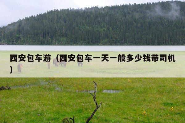 西安包车游（西安包车一天一般多少钱带司机）