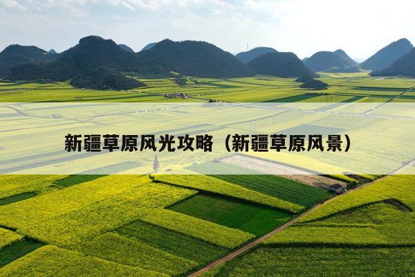 新疆草原风光攻略（新疆草原风景）