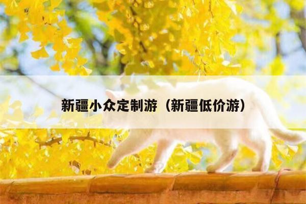 新疆小众定制游（新疆低价游）