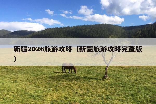 新疆2026旅游攻略（新疆旅游攻略完整版）