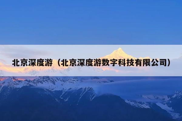北京深度游（北京深度游数字科技有限公司）