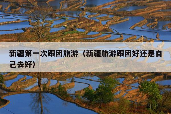 新疆第一次跟团旅游（新疆旅游跟团好还是自己去好）