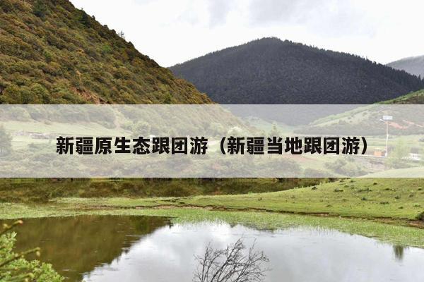 新疆原生态跟团游（新疆当地跟团游）