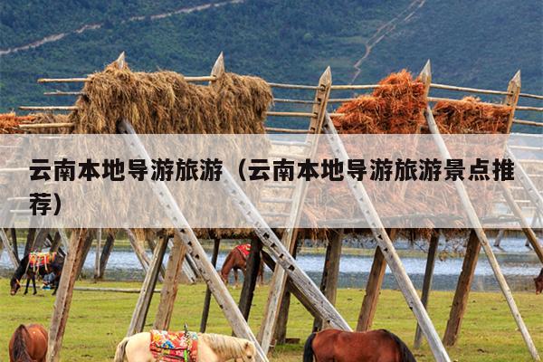 云南本地导游旅游（云南本地导游旅游景点推荐）