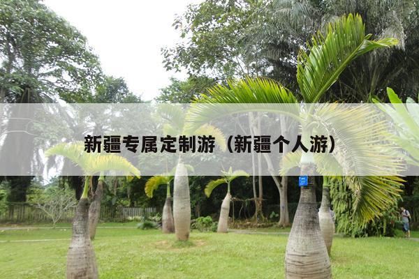 新疆专属定制游（新疆个人游）