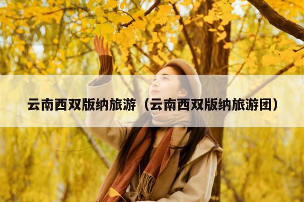 云南西双版纳旅游（云南西双版纳旅游团）