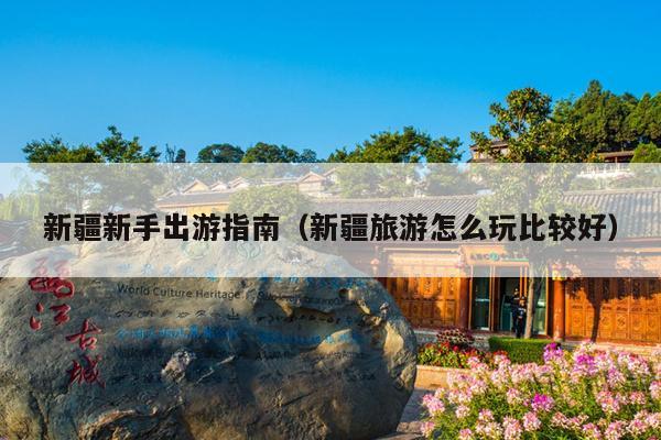新疆新手出游指南（新疆旅游怎么玩比较好）
