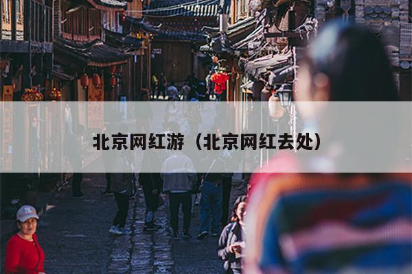 北京网红游（北京网红去处）