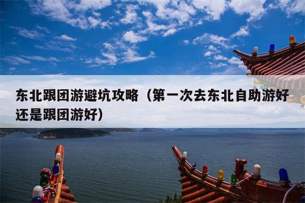 东北跟团游避坑攻略（第一次去东北自助游好还是跟团游好）