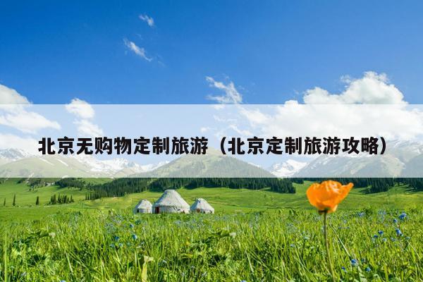 北京无购物定制旅游（北京定制旅游攻略）