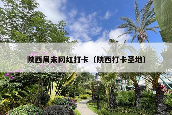 陕西周末网红打卡（陕西打卡圣地）